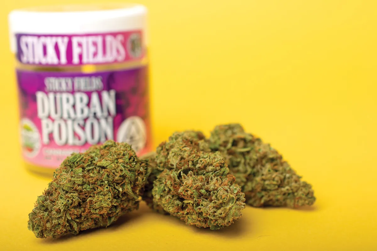 Durban Poison strain in Australia
